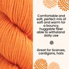 HiKoo Sueno Worsted Weight Yarn Hank, Soft Yarn for Knitting,