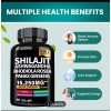 Omnipotent Nutrition Dynamic Vitality Bundle - Sea Moss Multivitamin &