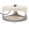 Sticky Dome Flea Capture Trap Bug Trap with 2 Glue