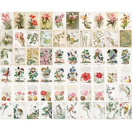 PIXILUV 60 pack of small Thank You Cards ~ Blossoms and Birds: Vibrant Flowers and Colorful Songbirds in Elegant Vintage Botanical Art