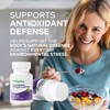 Elderberry Immune Support with Vitamin C, Zinc & Black Elderberry