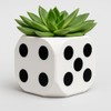 Black & White Dice Planter – 4.9 in Succulent Pot