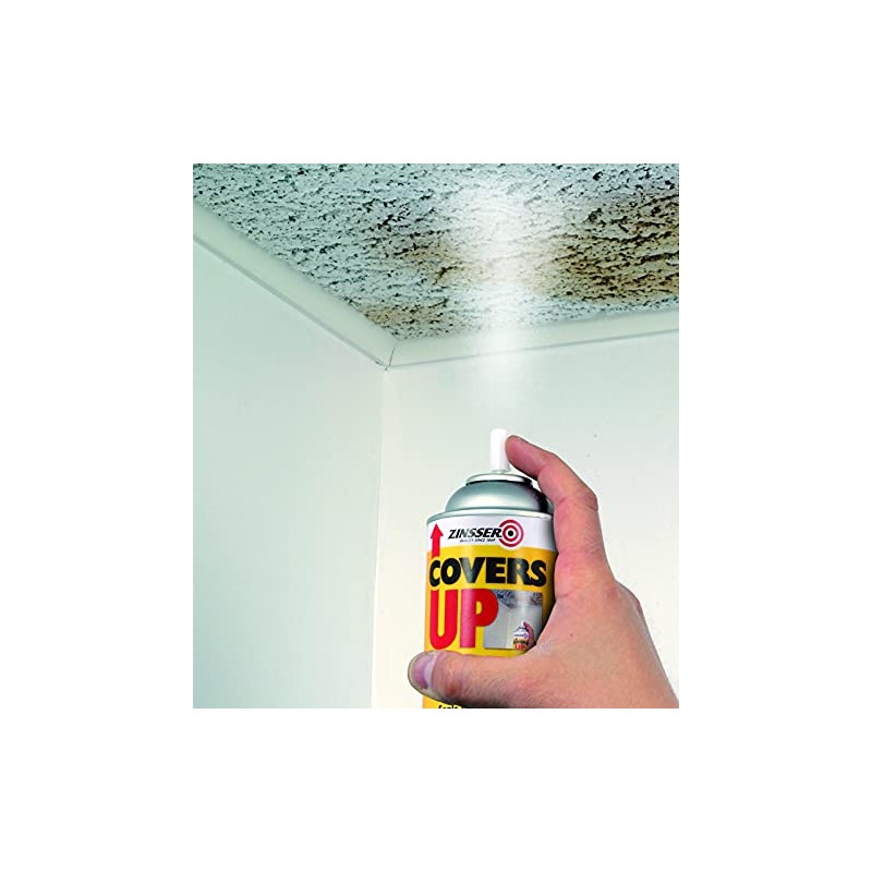 Zinnser 03688 Covers Up Stain Sealing Ceiling Paint, White