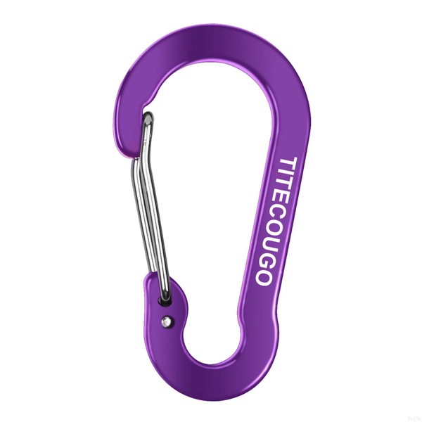Carabiner Keychain,Aluminum D-ring Locking Carabine D-Shape Lock Snap Backpack Water