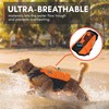 Non-stop dogwear Protector Life Jacket, Innovative Dog Life Jacket, Breathable