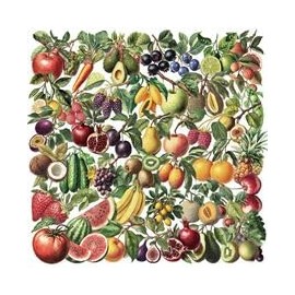 50PCS Transparent Vintage Fruits Stickers for Laptop,Luggage,Water Bottle,Notebook,Guitar,Bumper,Suitcase,Aesthetic Vegetables Vinyl Sticker,Teens Adults Sticker,Strawberry Kawaii Graffiti Decals