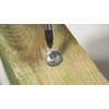 Beko 2616020 Screw Doctor, 20 g Tube DE/IT/PL