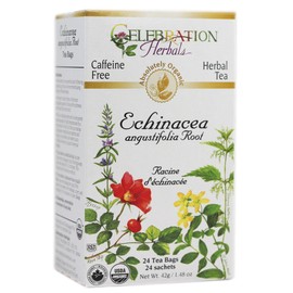 CELEBRATION HERBALS TEA ECHINACEA AUG ROOT TEABAGS 24CT ORGANIC