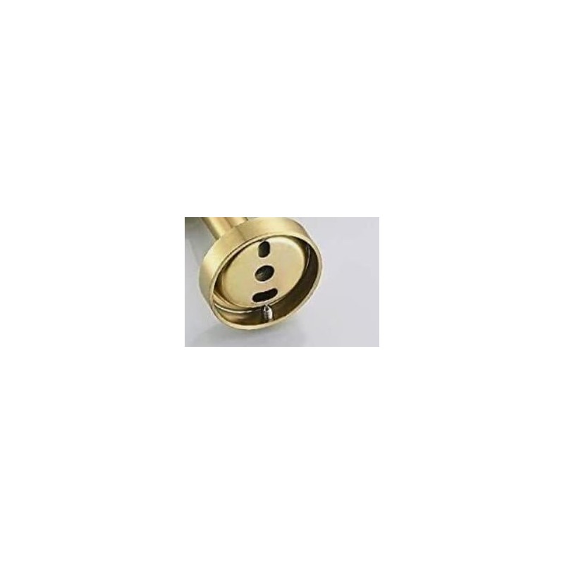 Housler® Brushed Brass Round Bathroom Accessories (Gold) (R.BB.LIQUID SP.DISP)
