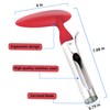 SINGARE Apple Cutter Slicer & Corer Kit - 12-Blade Apple