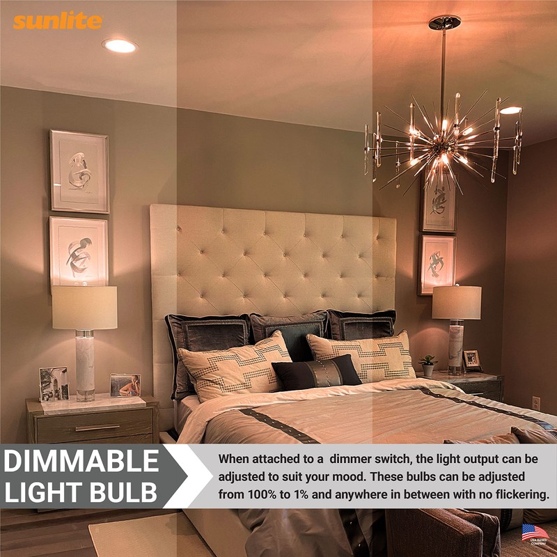Sunlite 41717 Incandescent T4 Tubular Light Bulb, 15 Watts, 75