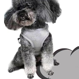 Soft Mesh No Pull Cat Harness and Lead Set for Walking, Escape Proof Puppy Kitten Vest Harnesses for Animals Rabbit/Cats Cat Collar XS Under 3lbs