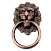 5Pcs Dresser Drawer Cabinet Pull Lion Head Rings Handle Classical