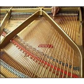 Spurlock Grand Piano Soundboard Duster Cleaner Set