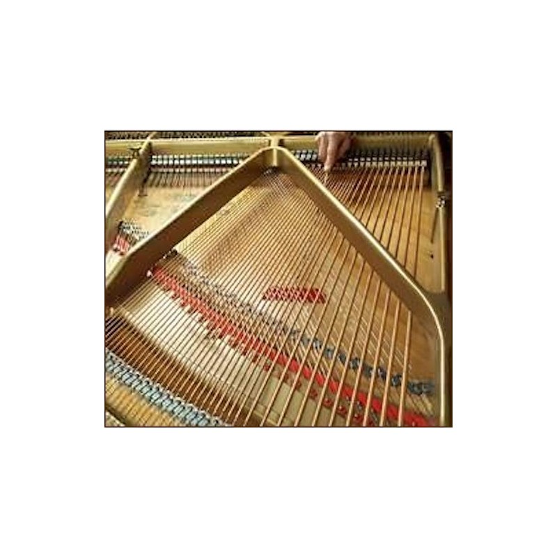 Spurlock Grand Piano Soundboard Duster Cleaner Set