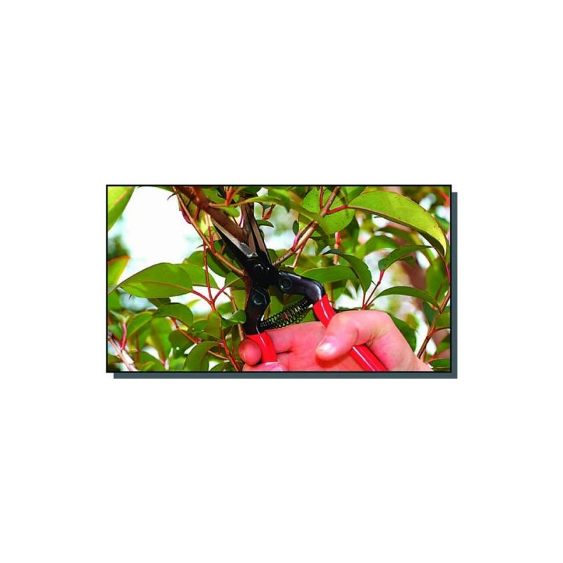 CHIKAMASA E-6C Farm Work Shears for Professional Gardening