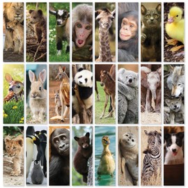 JBH Creations Baby Animal Bookmarks - Pack of 48