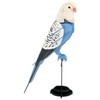 Fridolin 3D Paper Model Budgie