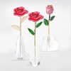 Long Stem Dipped 24k Gold Rose in Gift Box with
