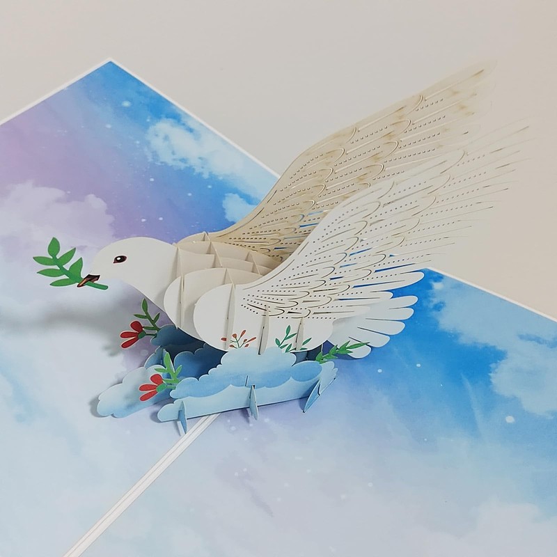 3D Pop-Up Greeting Card Holiday Birthday Wish Card for Boy/Girls