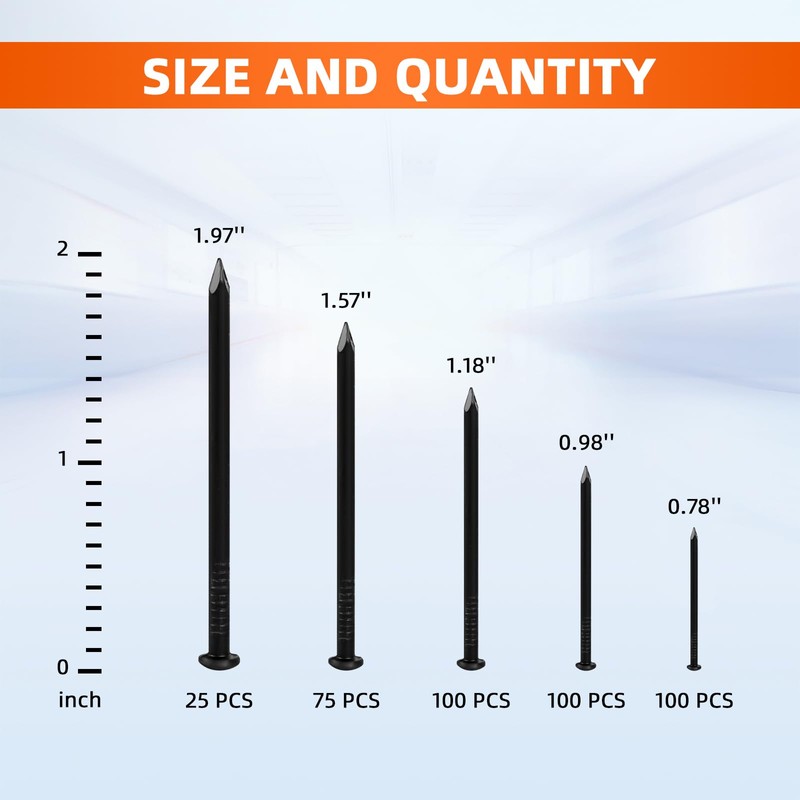 5 Sizes Hardware Nails Assortment Kit, Flat Nails for Picture