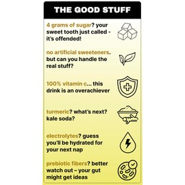 Don’t Drink - Lemon Ginger - Prebiotic Soda - Electrolytes, 100% Vitamin C, Turmeric - 12 fl oz Cans, Pack of 12