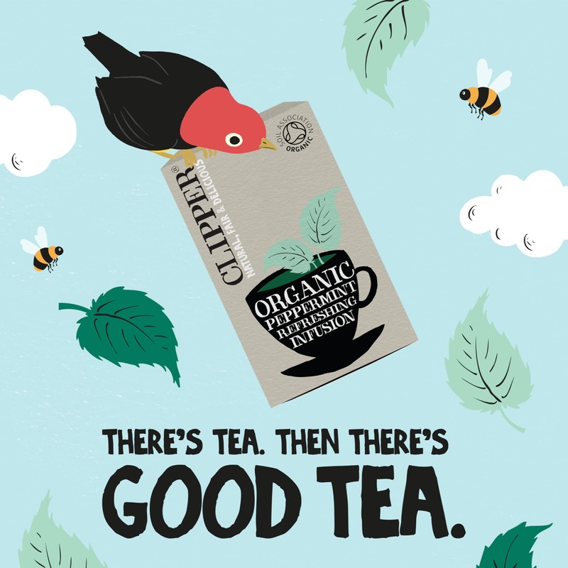 Clipper Organic Infusion Peppermint 20 Tea Bags (Pack of 6)