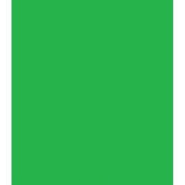 Impact Chroma Sheet Background - 10 x 12' (Chroma Green)