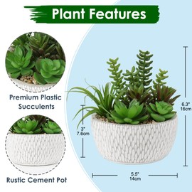 Briful Small Fake Plants Assorted Faux Succulents in Pots Realistic Succulents Plants Artificial with Cement Pots for Home Table Office Desk Bathroom Shelf Living Room Decor