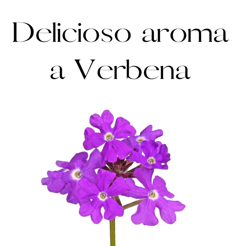 OLEUM VITAE Body Lotion. Crema Corporal Con Aceite Esencial De