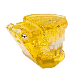 Dental Model with Braces, Transparent Tooth Model, Implant Dental Model, Orthodontic Dental Model, Implant Demo with Removable Crown/Bridge for Training (Yellow)
