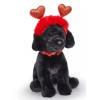 FAO Schwarz 12" Sparklers Wear and Share Black Labrador with