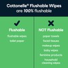 Cottonelle GentlePlus Flushable Wet Wipes with Aloe & Vitamin E,