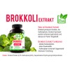 Mein Vita Broccoli Extract 1000 mg (Daily Serving – Hochdosiert – 100% Vegan Capsules – Pack of