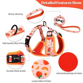 COOWONE Dog Leash and Harness Set, Soft Lightweight Mesh Step-in Puppy Harness, No Pull No Choke Adjustable Puppy Harness for Small Medium Dogs