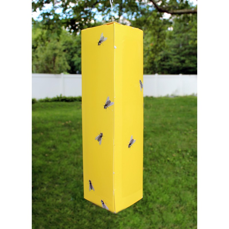 Pic FSTIK-2 Fly Traps, yellow
