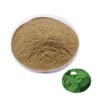 Saururus Chinensis Extract Powder 100g Sample