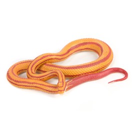 Safari Ltd. 100073 Incredible Creatures - Corn Snake XL - Phthalate, Lead and BPA Free - For Ages 3+