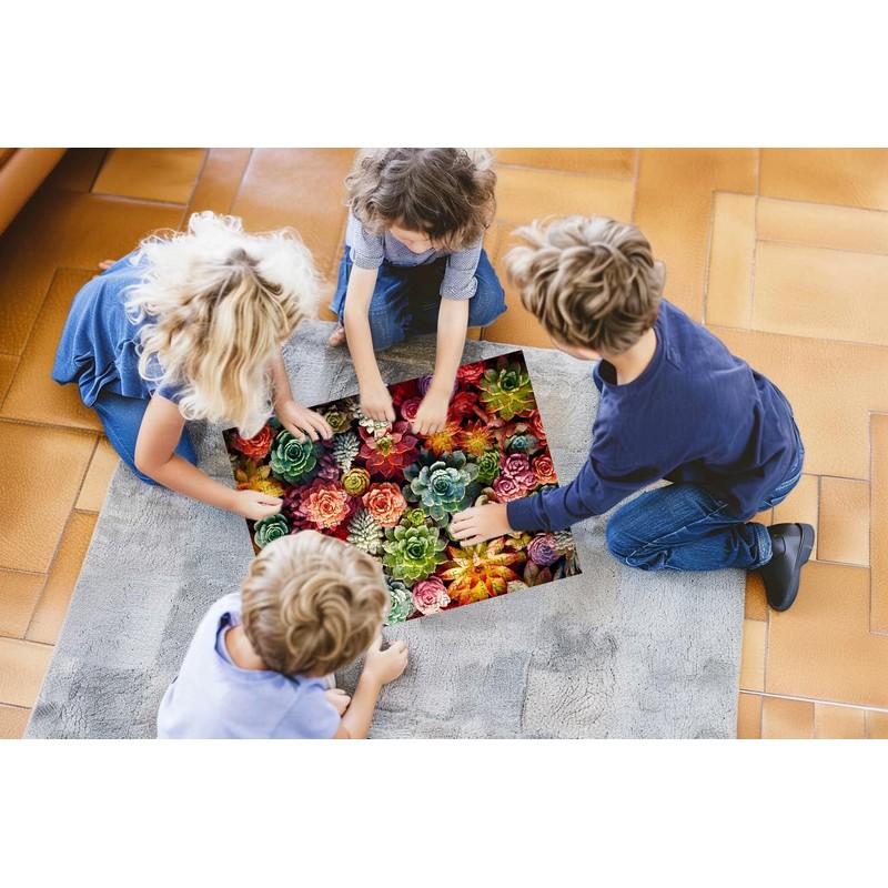 500 Piece Puzzle for Adults - Succulent Plants - Family