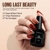 TOMICCA Top Coat And Base Coat