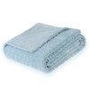FY FIBER HOUSE Fleece Cuddly Blankets with Snake Line, Extra