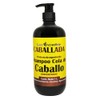 CABALLADA Shampoo Cola de Caballo Labs Incredible Concentrado, Keratina, Agua