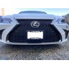 TN TrunkNets Inc A NASA-Like Rubber Front License Plate Frame