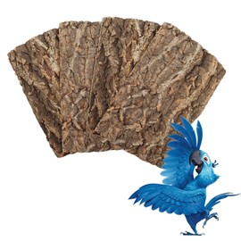 4 Pack Cork Bark Perch for Bird, 11.8 × 7.9 inch Natural Parrot Chewing Toys, Birdcage Background Decor Accessories, Bark Toy for Budgie Parakeet Cockatiel Lovebirds Conures Hamster Guinea Pig Rat