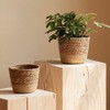 PRATYAHARA Straw Weaving Flower Plant Pot Wicker Basket Rattan Flowerpot