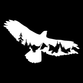 Hawk Raptor Eagle Mountain Scene Wings NOK Decal Vinyl Sticker |Cars Trucks Vans Walls Laptop|White |7.5 x 4.3 in|NOK1567