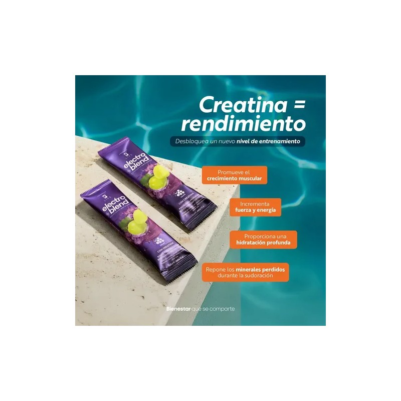 Electrolitos Creatina 45 Sobres Electroblend Creatine B Life