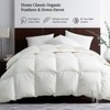 Ltinhome Feathers & Down Comforter, Organic Duvet Insert, 100% Cotton