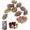 POFET Simulation Pine Cones Pineal Gland Aquarium Terrariums Miniature Garden