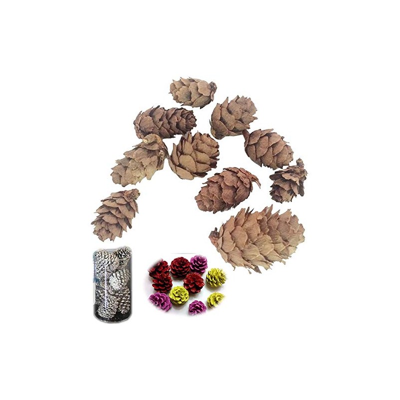 POFET Simulation Pine Cones Pineal Gland Aquarium Terrariums Miniature Garden
